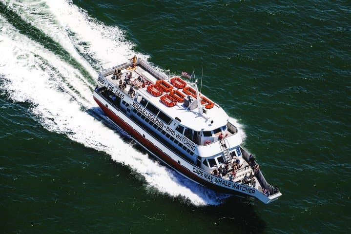 Grand Lighthouse Tour from Cape May — Delaware Bay Offshore Lighthouse Cruise photo 2
