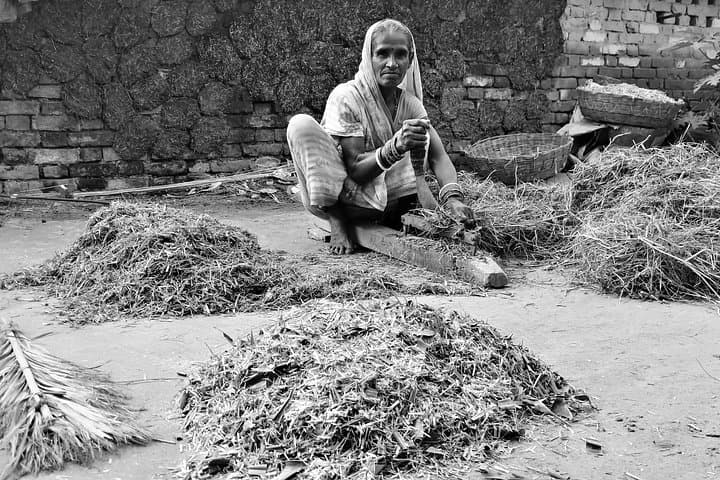 Full-Day Village Tour in Varanasi: Rural Life, Farming & Local Lunch photo 2