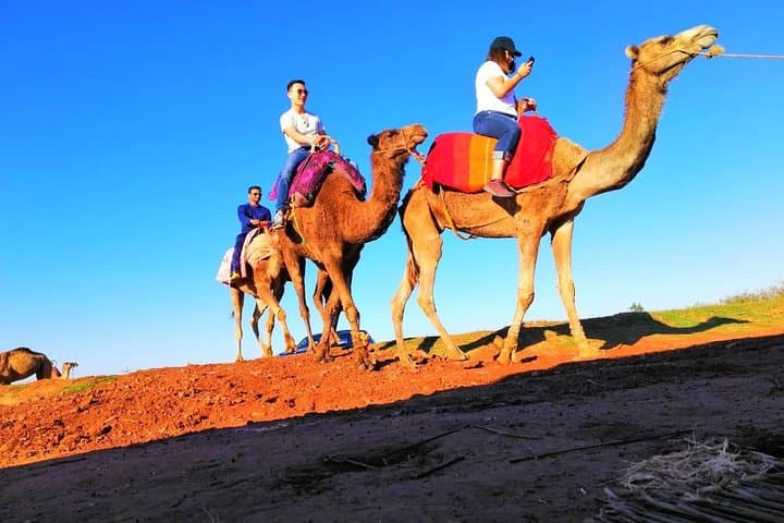 Marrakech Day Trip: Agafay Desert, Atlas Mountains & Waterfall with Camel Ride