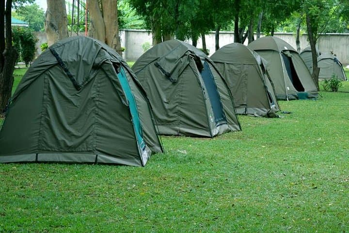 4-Day Camping Safari: Mwanza to Serengeti & Ngorongoro Crater photo 5