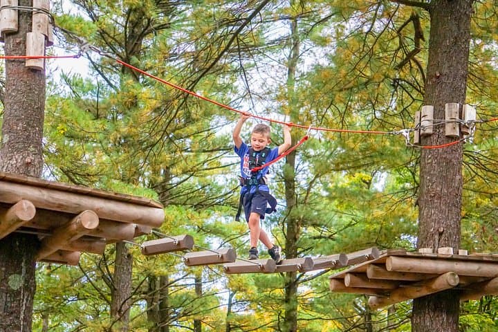 WildPlay Thacher Classic Adventure Course — Ziplines & 40ft Fear Jump Near Albany photo 3