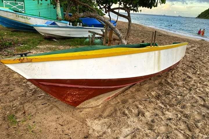 Half-Day Grenada Wonders Tour — Annandale Falls, Grand Etang & Grand Anse Beach photo 1