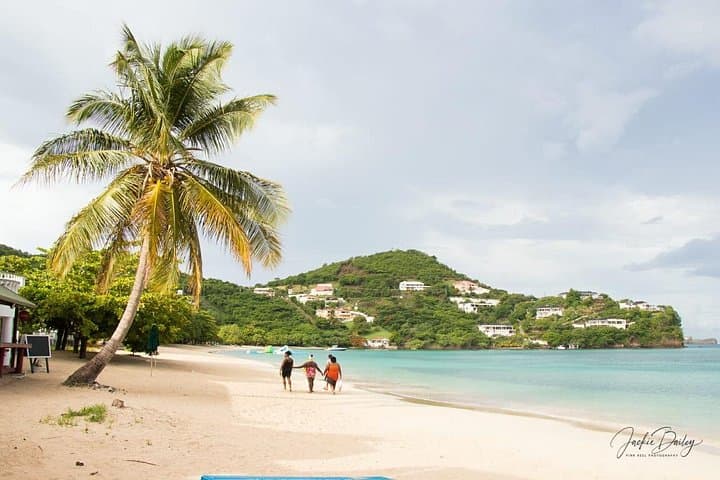 Half-Day Grenada Wonders Tour — Annandale Falls, Grand Etang & Grand Anse Beach photo 3