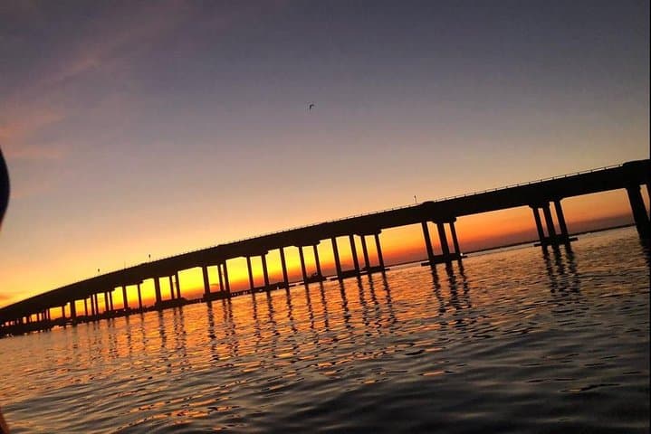 Sunset Dolphin Watching Cruise in Destin Harbor — Evening Dolphin Tour on the Emerald Coast photo 6