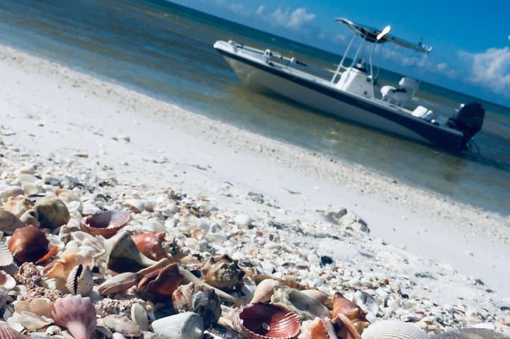 Fort Myers Beach Shelling Cruise: Best Shelling Tours from Fort Myers & Naples photo 2
