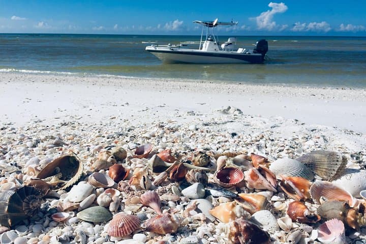 Fort Myers Beach Shelling Cruise: Best Shelling Tours from Fort Myers & Naples