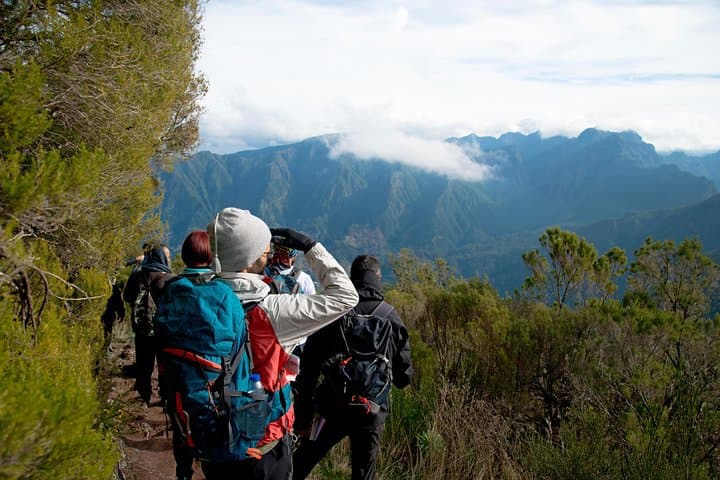 Madeira Levadas: Full-Day Hiking Through Laurissilva & Volcanic Valleys photo 2