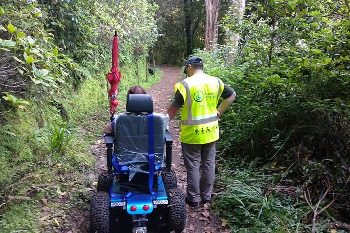 Accessible Half‑Day: Caminho das Queimadas Wheelchair Tour, Madeira photo 6