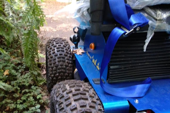 Accessible Half‑Day: Caminho das Queimadas Wheelchair Tour, Madeira photo 5