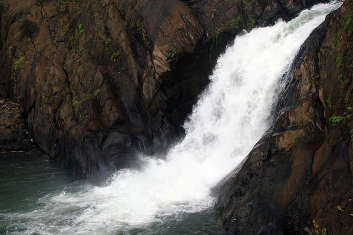 Dudhsagar Waterfall Jeep Safari & Spice Plantation Day Tour, Goa photo 3