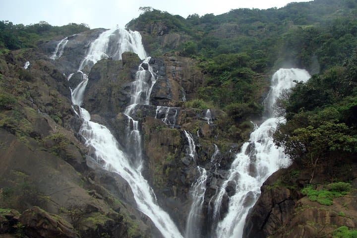 Dudhsagar Waterfall Jeep Safari & Spice Plantation Day Tour, Goa photo 5