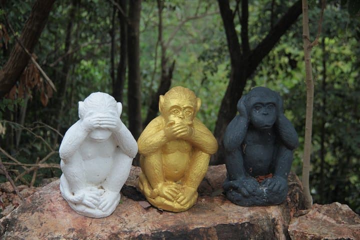 Off-Road 4x4 Island Escape: Koh Samui Jungle, Markets & Silver Beach photo 6