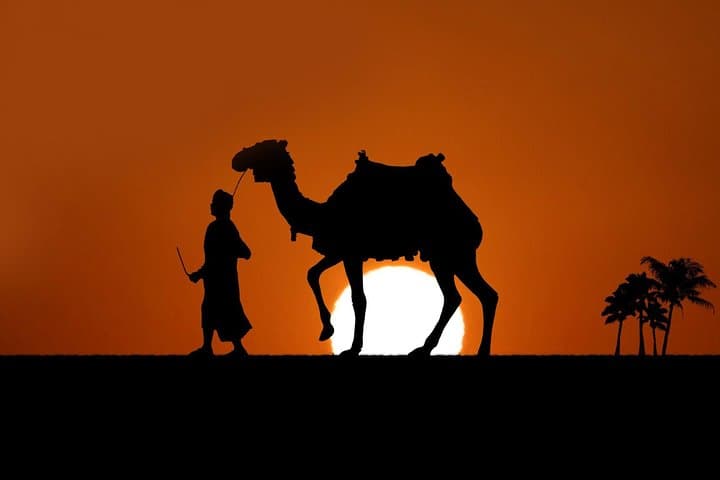Bedouin Night Camel Ride and Egyptian Desert Party Near Sharm El Sheikh photo 1