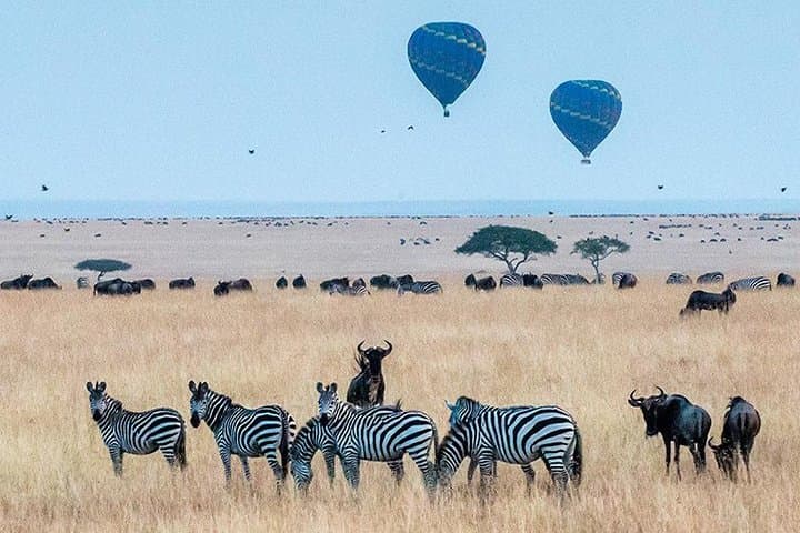 7-Day Kenya Budget Safari: Maasai Mara, Lake Naivasha, Nakuru & Amboseli photo 6