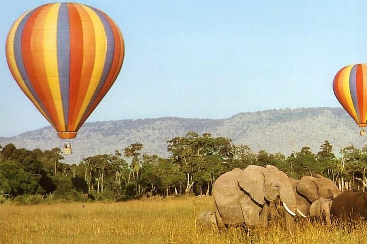 5-Day Maasai Mara, Lake Naivasha & Lake Nakuru Safari — Big Cats, Flamingos & Rift Valley Views photo 3
