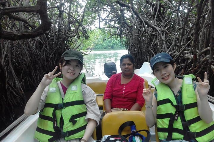 Madu River Boat Cruise from Colombo — Bentota Mangrove Safari & Turtle Release