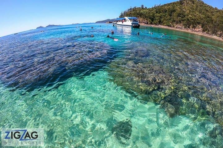 Exploring Whitehaven Beach: Ultimate Day Tour with Snorkeling and Scenic Walks photo 5