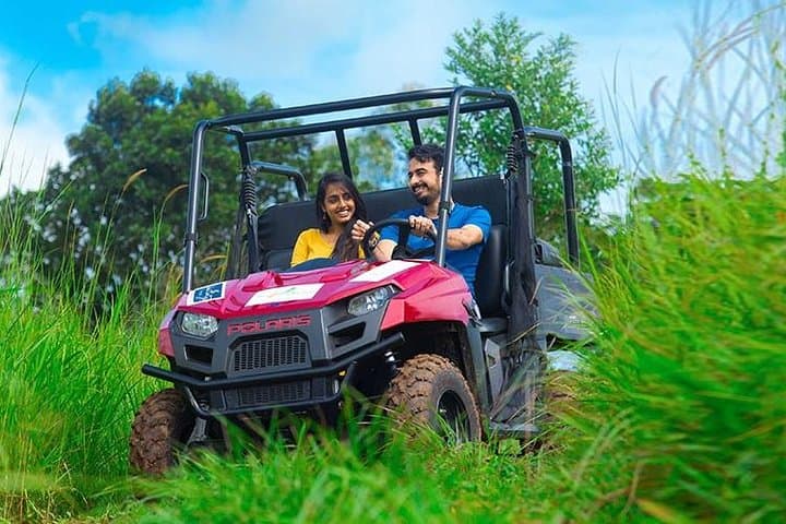 Treehouse Stay in Munnar: Eco-Friendly Tea-View Retreat with Adventure Activities photo 3