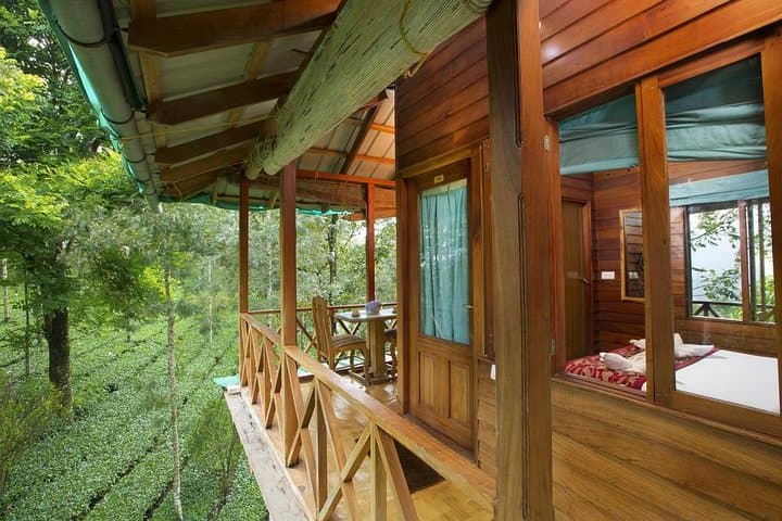 Treehouse Stay in Munnar: Eco-Friendly Tea-View Retreat with Adventure Activities photo 5