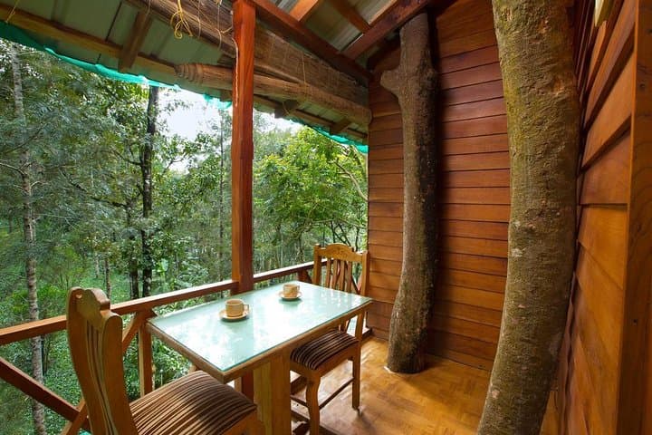 Treehouse Stay in Munnar: Eco-Friendly Tea-View Retreat with Adventure Activities photo 6