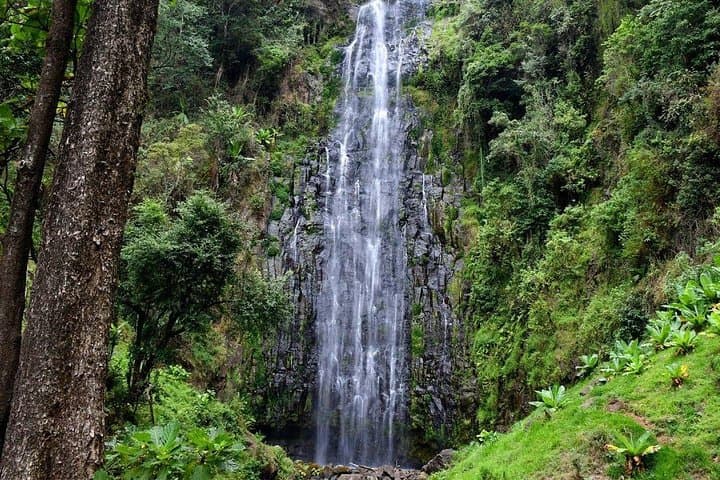 Materuni Waterfalls & Coffee Tour from Moshi — Hike, Swim, Coffee Tasting photo 4