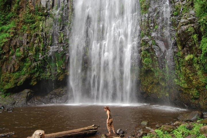 Materuni Waterfalls & Coffee Tour from Moshi — Hike, Swim, Coffee Tasting photo 6
