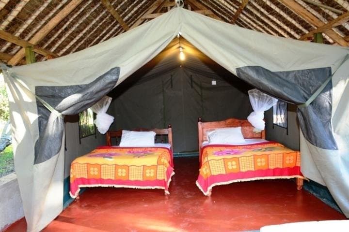 8-Day Private Kenya & Tanzania Lodging Safari from Nairobi photo 6