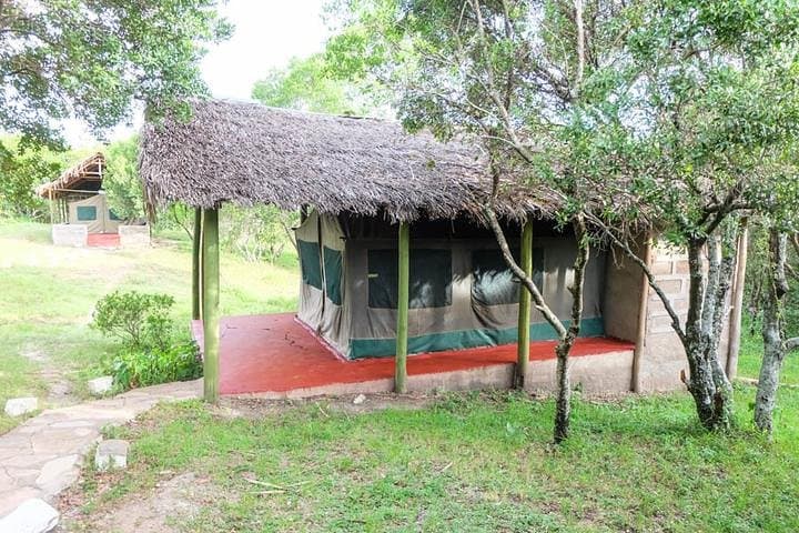 8-Day Private Kenya & Tanzania Lodging Safari from Nairobi photo 5