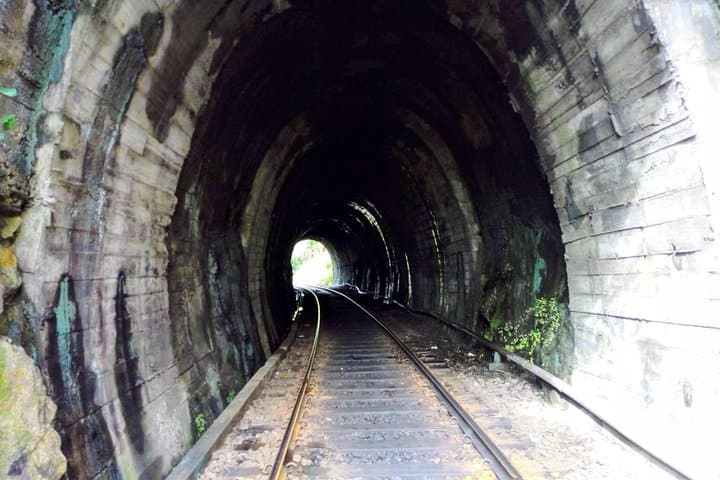 10-Day Sri Lanka Local Tour: Kandy, Ella Train, Safari & Whale Watching photo 3