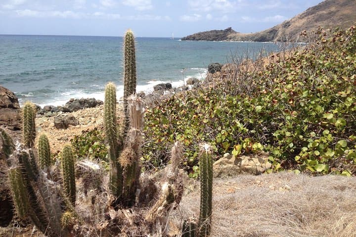 Guana Bay Coastal Hike: Scenic Eastern Shore Walk in St. Maarten photo 2