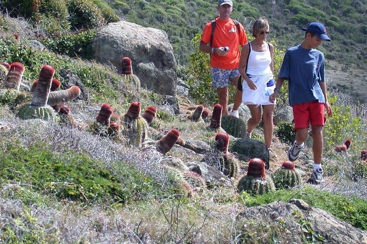 Guana Bay Coastal Hike: Scenic Eastern Shore Walk in St. Maarten photo 3