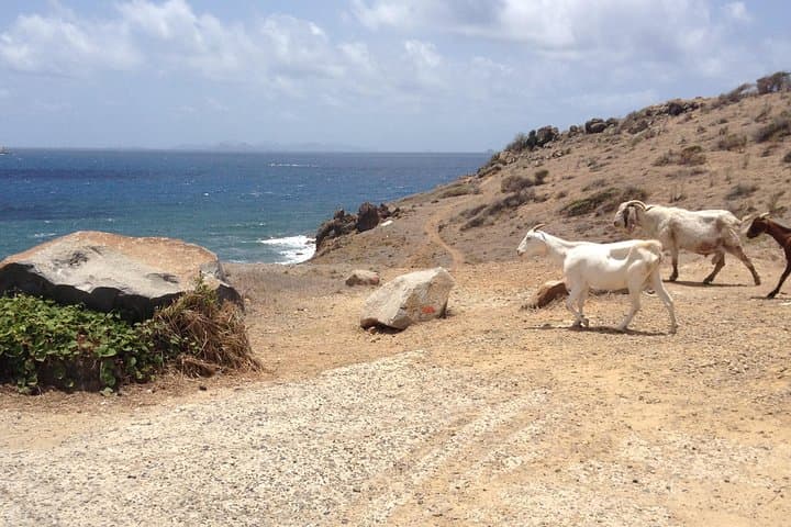 Guana Bay Coastal Hike: Scenic Eastern Shore Walk in St. Maarten photo 4
