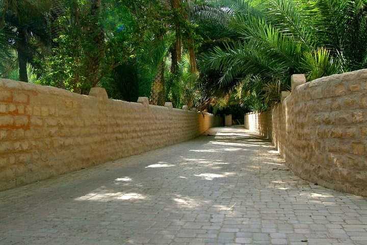 Al Ain Private Day Tour from Dubai — Oasis, Forts & Jebel Hafeet photo 6