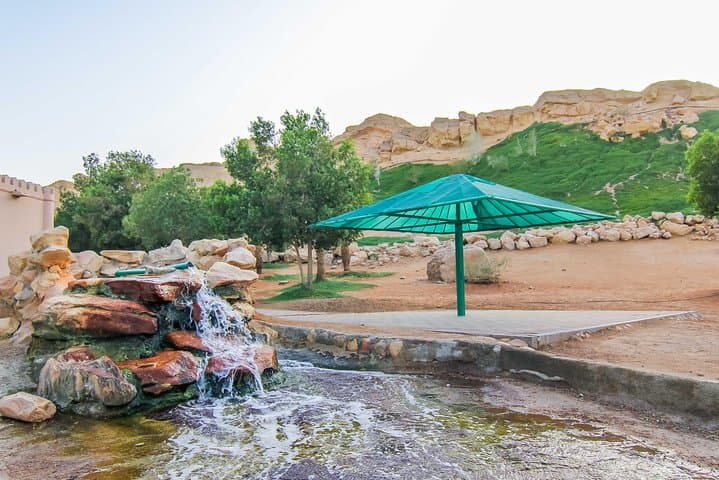 Al Ain Private Day Tour from Dubai — Oasis, Forts & Jebel Hafeet