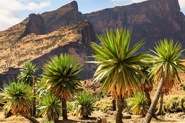 Best of Ethiopia: 15-Day Highlights from Simien Mountains to Omo Valley photo 2