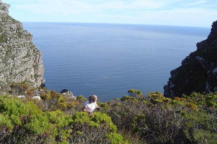 Off-the-Beaten-Track Table Mountain Hike: Fynbos, Reservoirs & Summit Views photo 2