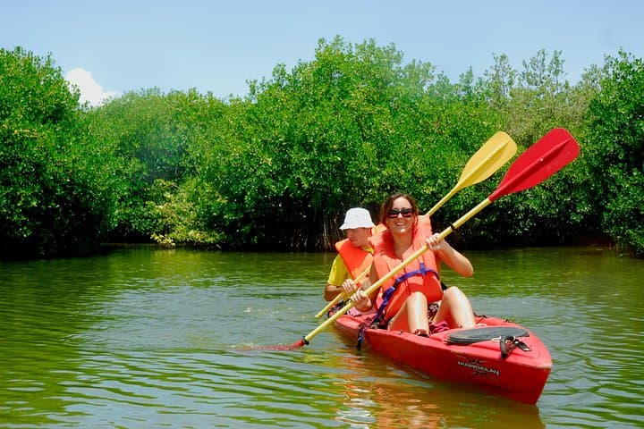 Kayak Simpson Bay Lagoon: Guided Kayak Tour from Kim Sha Beach photo 4