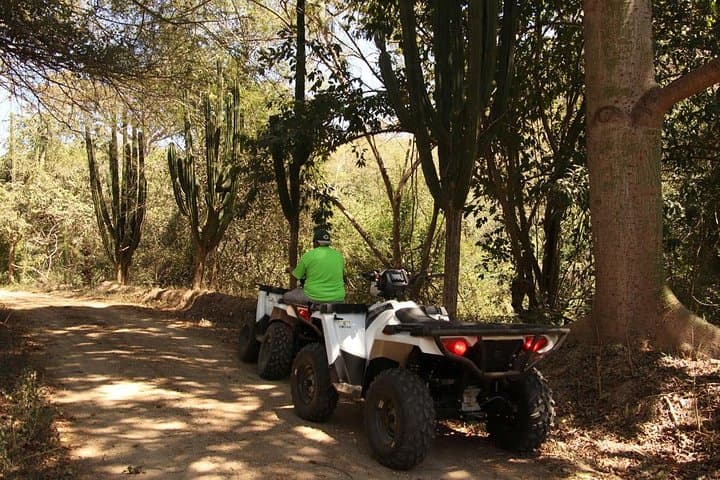 ATV and Jungle Hike in the Sierra Madre at Rancho El Jaguar photo 3