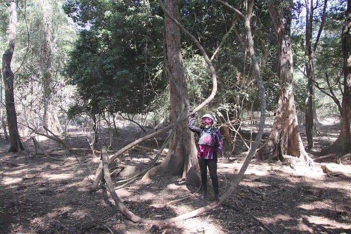 ATV and Jungle Hike in the Sierra Madre at Rancho El Jaguar photo 6