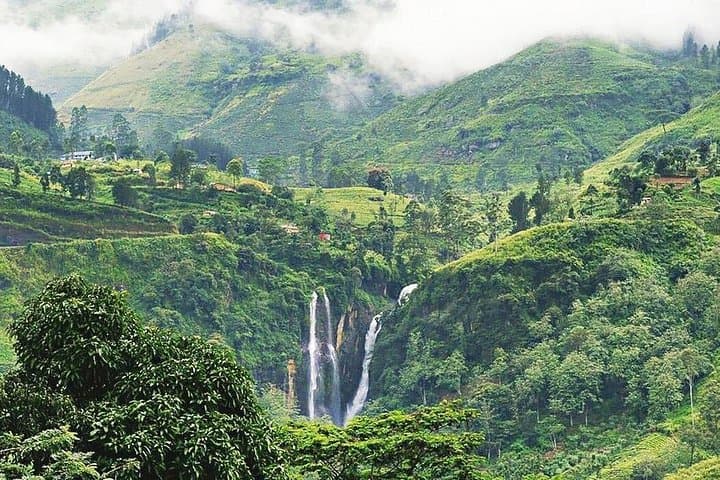 Hill Country Highlights: 2-Day Nuwara Eliya, Kitulgala & Kandy Private Tour photo 1