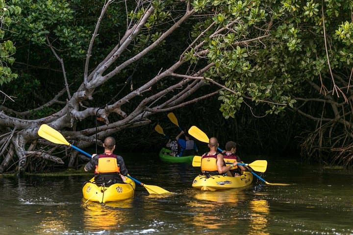 Night Kayaking the Bioluminescent Laguna Grande in Fajardo photo 2