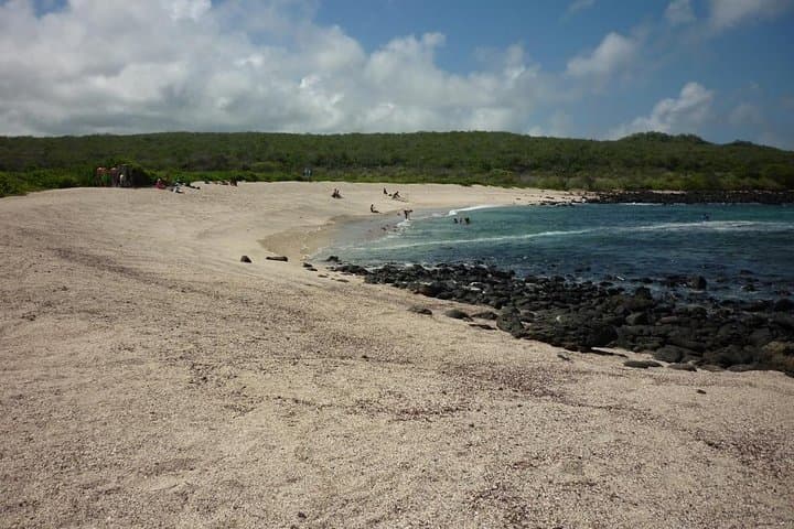 High Part and the Wolf: San Cristóbal Lagoon, Tortoises & Snorkel Adventure photo 5