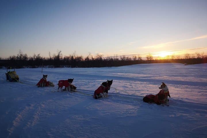 Private Husky Sledding on the Alta River — Intimate Winter Ride in Alta Valley photo 6
