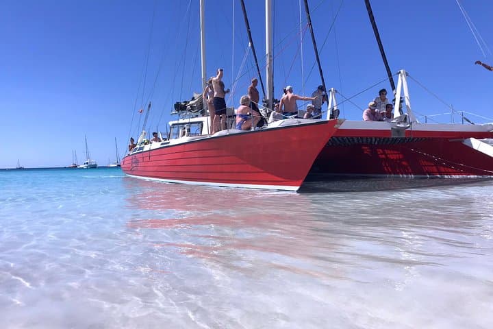 Barbados Catamaran Turtle & Shipwreck Snorkeling Cruise on the West Coast photo 4