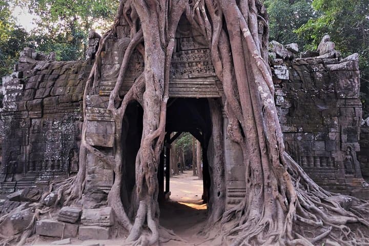 Siem Reap Private Grand Temple Bike Tour — Angkor Temples & Jungle Trails photo 3
