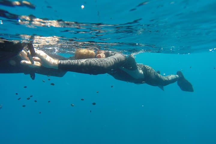 Discover Freediving in Tamarindo: Intro Course to 5m / 15ft photo 3