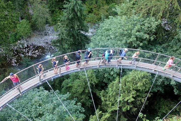 Vancouver Private Tour: Capilano Suspension Bridge & Grouse Mountain Day Trip photo 5