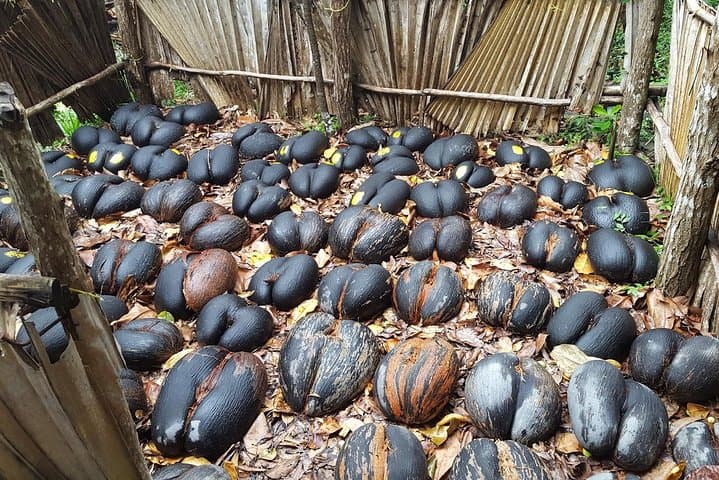 Fond Ferdinand Trail Tour — Praslin 2 km Hike to 360° View & Coco de Mer photo 2