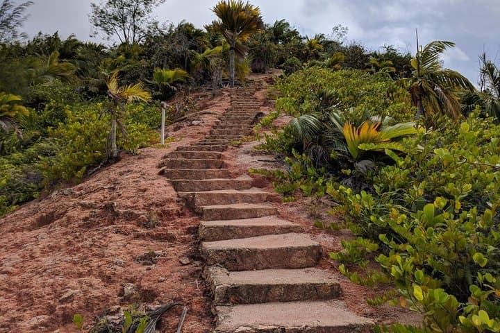 Fond Ferdinand Trail Tour — Praslin 2 km Hike to 360° View & Coco de Mer photo 3