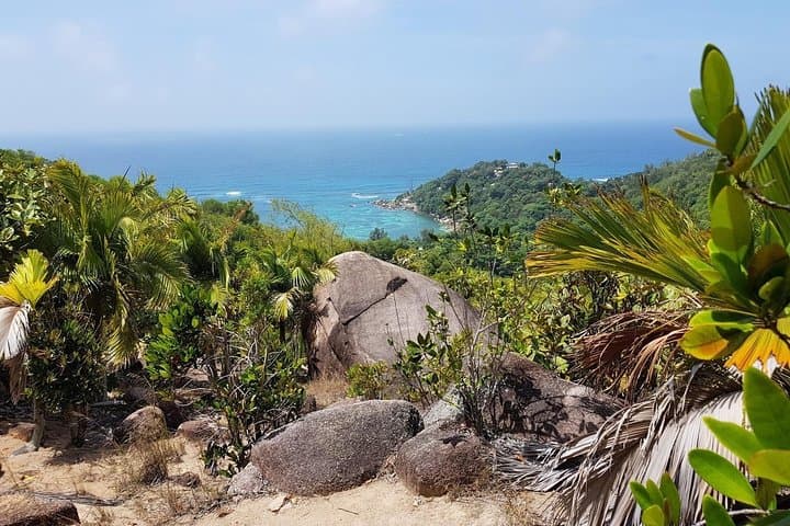 Fond Ferdinand Trail Tour — Praslin 2 km Hike to 360° View & Coco de Mer photo 5